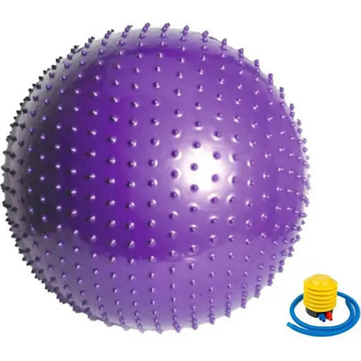 Мяч для фитнеса (фитбол) массажный "HMS" Newt NE-MAS-65-V фиолетовый 65 см - фото 1