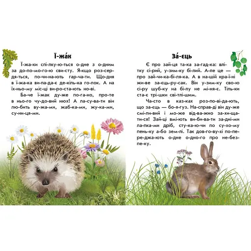 Читаю про Україну по складах "Тварини лісів" Ранок 366023 з кольоровими ілюстраціями - фото 2