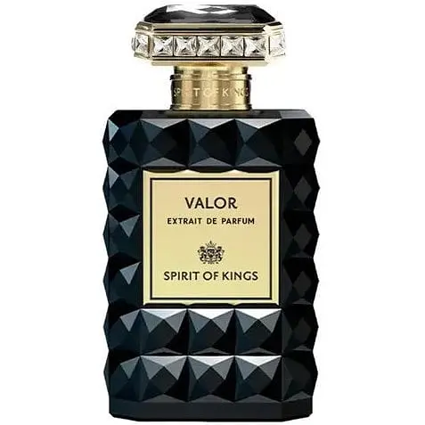 Духи оригинал Spirit Of Kings Vigor 100 мл Parfum - фото 1