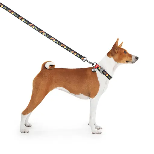 Ошейник для собак нейлоновый Waudog Nylon с QR-паспортом "Рик и Морти 3" металлическая пряжка-фастекс XL,Ш 25 мм Д 37-58 - фото 6