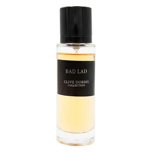 Парфумована вода Fragrance World Bad Lad парфюмированная вода 30 мл 30 мл