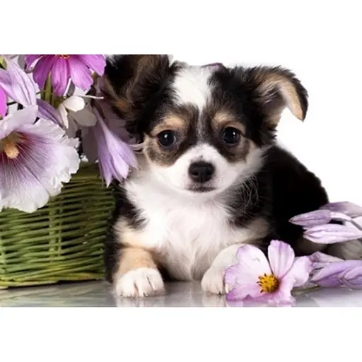 Картина Алмазна мозаїка 40 * 50 см зі стразами на підрамнику Пробудження - фото 1