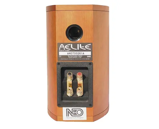 Фронтальные акустические колонки Acoustic Energy Aelite 601 CH - фото 3