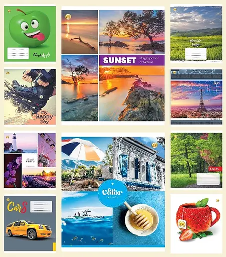 Зошити учнівські 48 аркушів лінія Тетрада МІКС, 10 шт. в упаковці