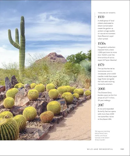 Gardens of the World - фото 14