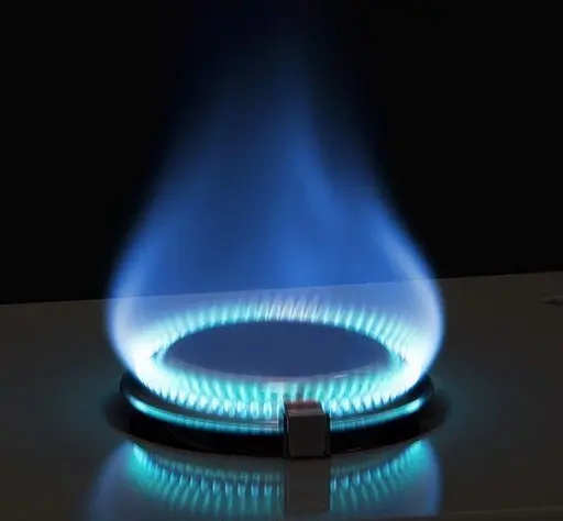 Портативная газовая плита Naturehike CNH22CJ011 на 1 конфорку под цанговый баллон (Зеленый) - фото 4