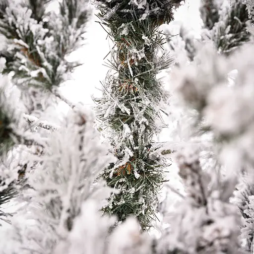 Ялинка Yes! Fun Ситхінська лита 2.4 м засніжена (903568) - фото 7