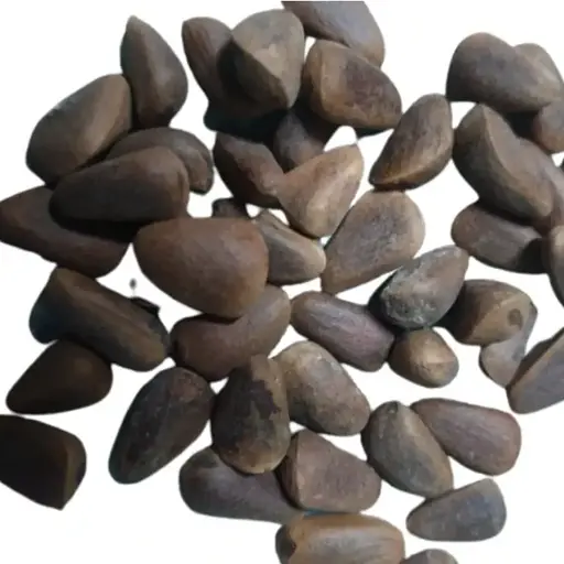 100 г кедровые орехи в скорлупе цельные карпатские крупные не жаренные