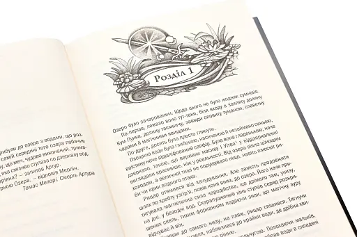 Відьмак. Володарка Озера Книга 7 - фото 4