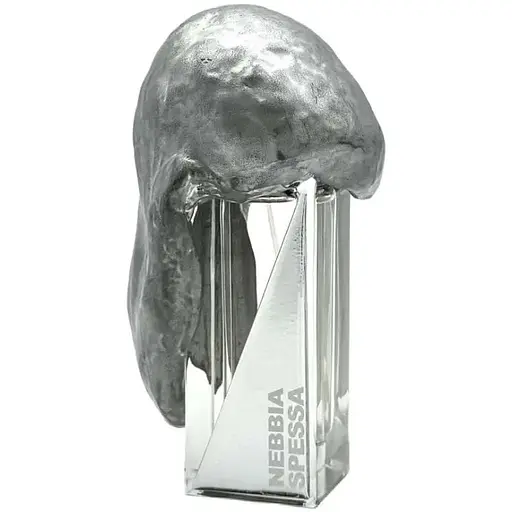 Духи оригинал Filippo Sorcinelli Nebbia Spessa 50 мл тестер Extrait de Parfum - фото 1