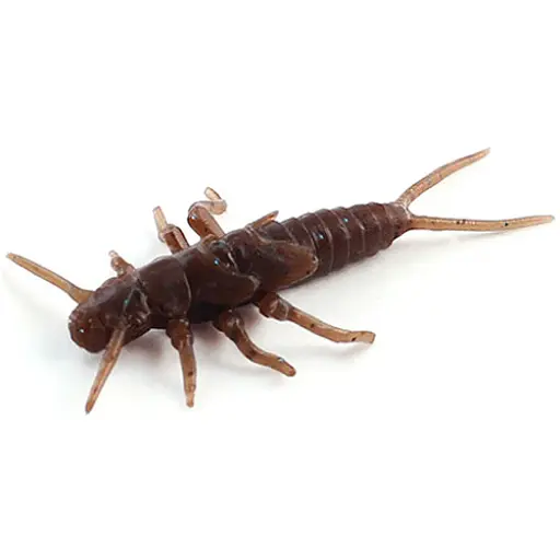 Силікон FishUP Stonefly 0.75" (12шт) #012 - Chaos
