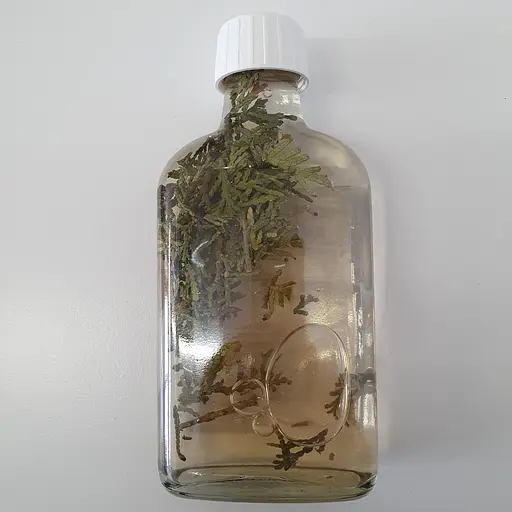 Настойка на побегах туи западной 200 мл - фото 2