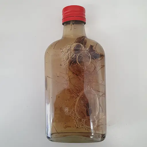 Настойка на корне первоцвета весеннего лекарственного 200 мл - фото 2