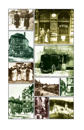 Пригоди бравого вояки Швейка. 1-2 томи - фото 9