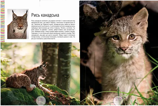 Малята звірята - фото 14