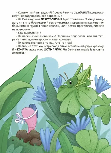 Дивовижні перетворення. Хто ховався у яєчку - фото 5