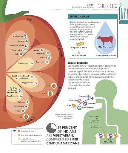 How Food Works: The Facts Visually Explained - фото 9