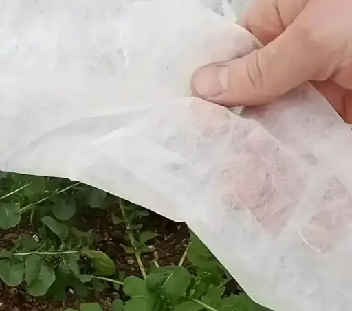 Полотно прошитое для парника Shadow 60 г/м² 2.1 x 5 м ПОЛОТ000231 - фото 6