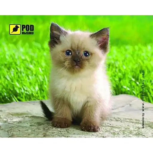 Килимок Pod Mishkou Сіамський котик - фото 1