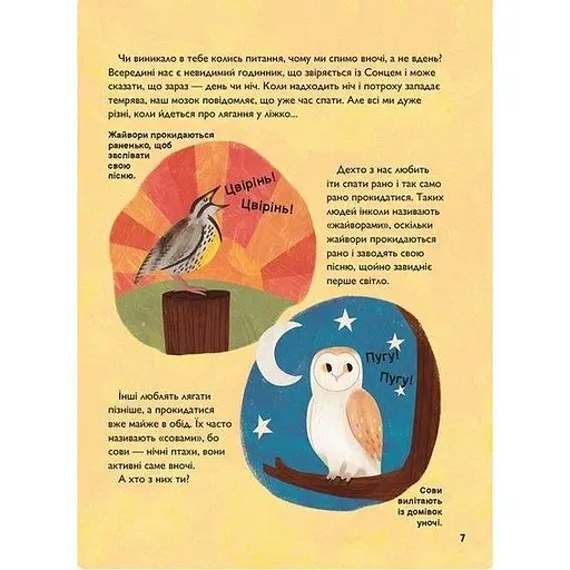 Книга Про сон перед сном. Автор - Джекі МакКенн, Джен Арена (Читаріум) - фото 6