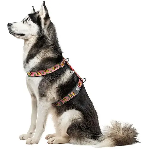 Шлея для собак Waudog Nylon анатомічна H-подібна з QR-паспортом, малюнок "Авокадо на рожевому", пластиковий фастекс, XL - фото 3