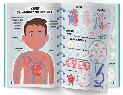 Меганаліпки. Тіло людини - фото 2