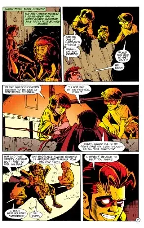 Robin #20 (1993) - фото 5