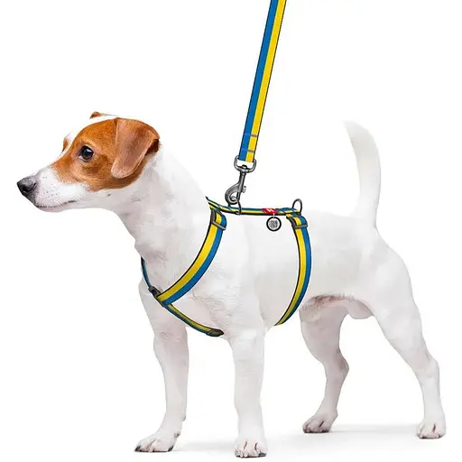 Шлея для собак Waudog Nylon анатомічна H-подібна з QR-паспортом, матеріал нейлон, малюнок "Colors of freedom" - фото 3