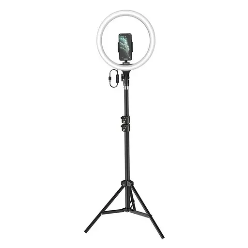 Штатив с подсветкой Baseus Live Stream Holder-Floor Stand (CRZB12-B01) - фото 1