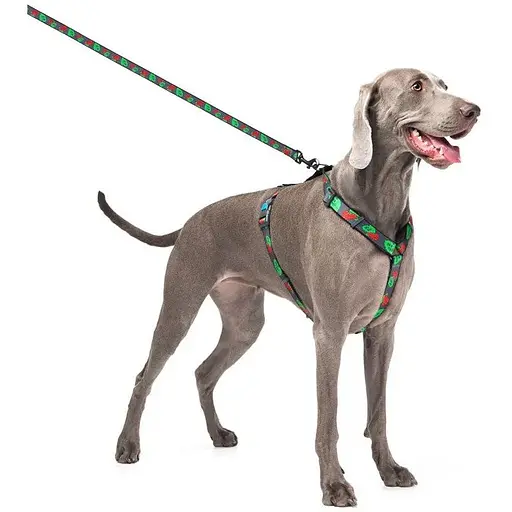 Повідець для собак Waudog Nylon нейлоновий, малюнок "Калина", розмір L-ХХL - фото 5