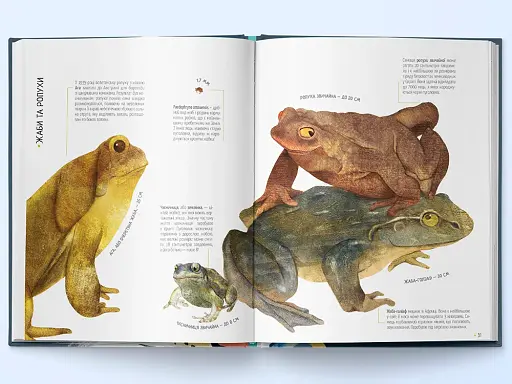 Тварини на всі 100% - фото 3