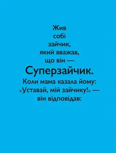 Суперзайчик - фото 2