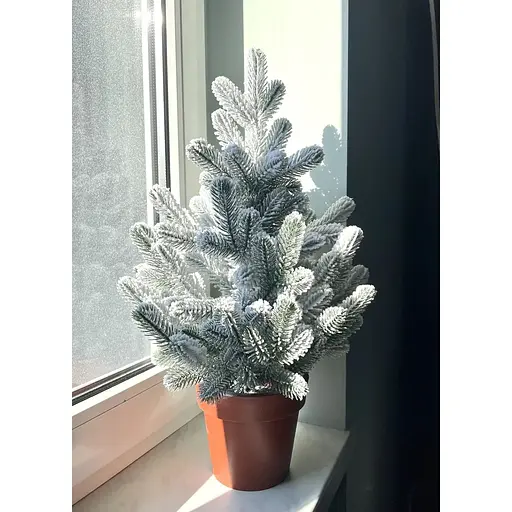 Ялинка Hvoya Traditional лита в горщику 50 см засніжена новинка