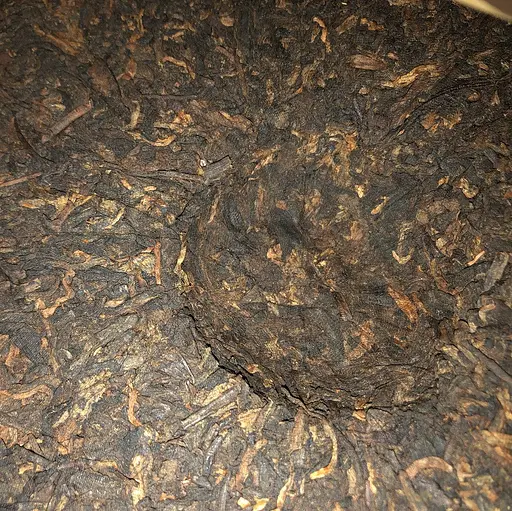 Шу пуер Ботанік Освідчена молодь 500 г 2009 рік - фото 4