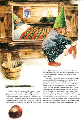 Secrets of the Gnomes - фото 4