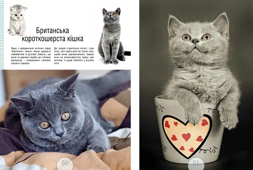 Малята звірята - фото 5