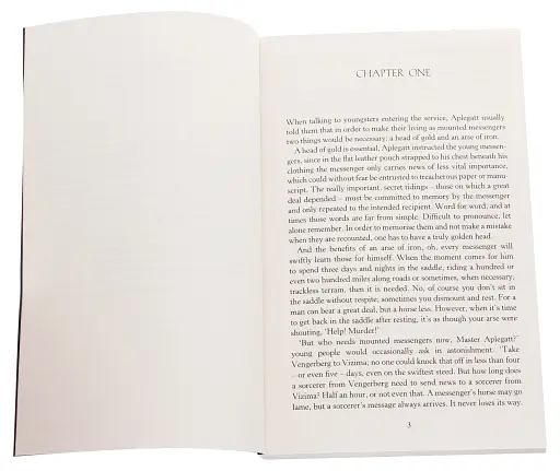 The Witcher. Time of Contempt - фото 2