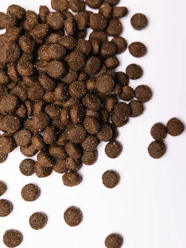 Сухой корм для собак Savory All Breeds Rich in Fresh Duck&Rabbit со свежим мясом утки и кролика 12 кг - фото 4