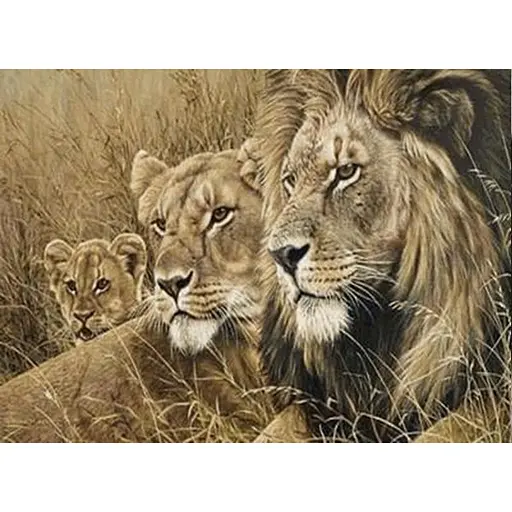 Картини за номерами Алмазна мозаїка зі стразами на підрамнику, c принт. рамою, Сила і ніжність 40*50 см - фото 1