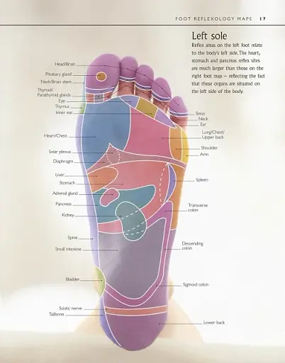 Reflexology - фото 3