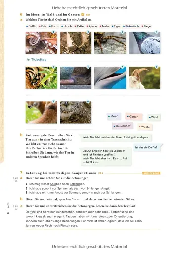 Momente B1.2 Arbeitsbuch plus interaktive Version - фото 7