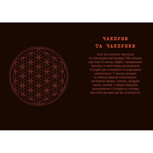 "Волшебники и колдуньи: руководство по магии для начинающих" Твердый переплет Автор Франческа Маттеони - фото 5