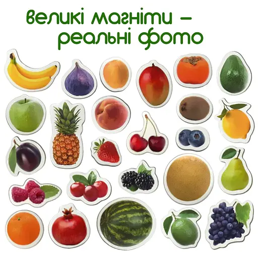 Набор магнитов Magdum "Фрукты и ягоды" ML4031-11 EN - фото 2