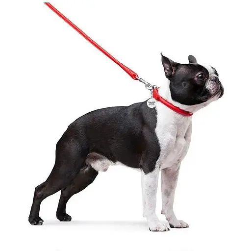 Повідець для собак Waudog Glamour шкіряний круглий, червоний - фото 3