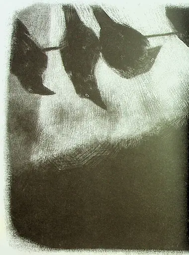 Крабат - фото 7