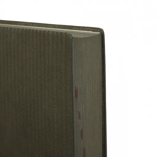 Щоденник-діловий записник А5 Leo Planner Velvet 2026 м'який темно-зелений 368 сторінок (252637) - фото 5
