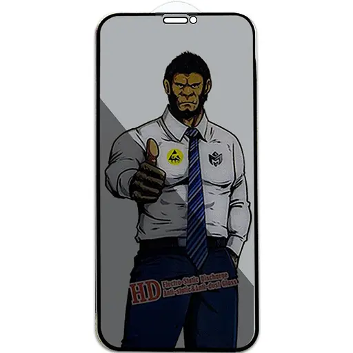 Захисне скло Epik Privacy 5D Anti-Static тех.пак для Apple iPhone 11 Pro Max/XS Max 6.5 Чорний