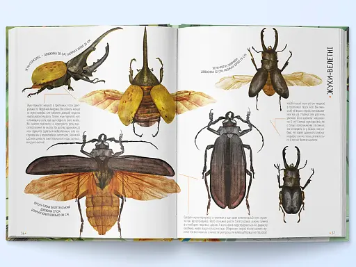 Комахи на всі 100% - фото 4