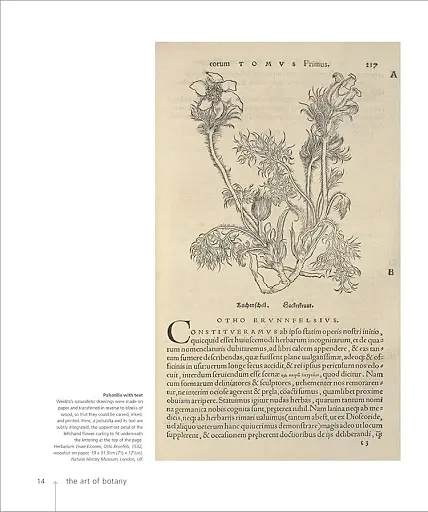 Botany for the Artist - фото 2