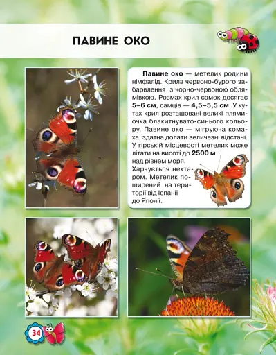 Світ навколо нас. Комахи - фото 5